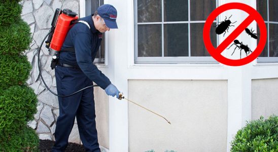 Ankara Hamam Böceği İlaçlama böcek ilaçlama ve haşere kontrolü — ilaclama-tr.com